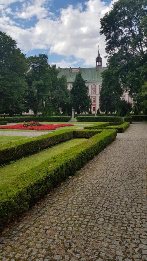 Chopin Park Lux Apartment, Self Check-In 24H, Free Parking, Air-Conditioning Poznań Esterno foto