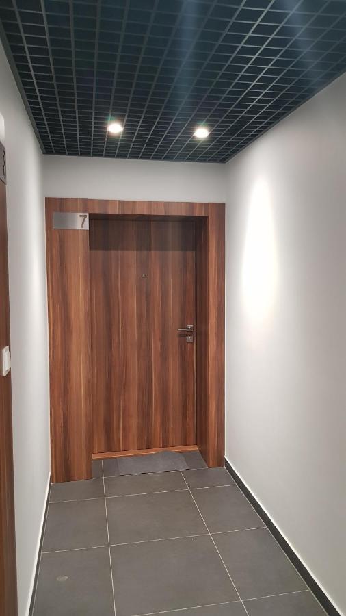 Chopin Park Lux Apartment, Self Check-In 24H, Free Parking, Air-Conditioning Poznań Esterno foto